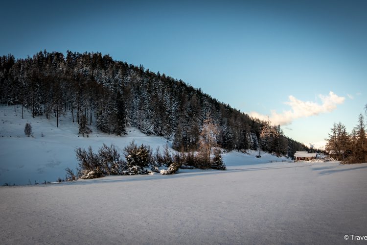 Forstrevier Visp & Umgebung