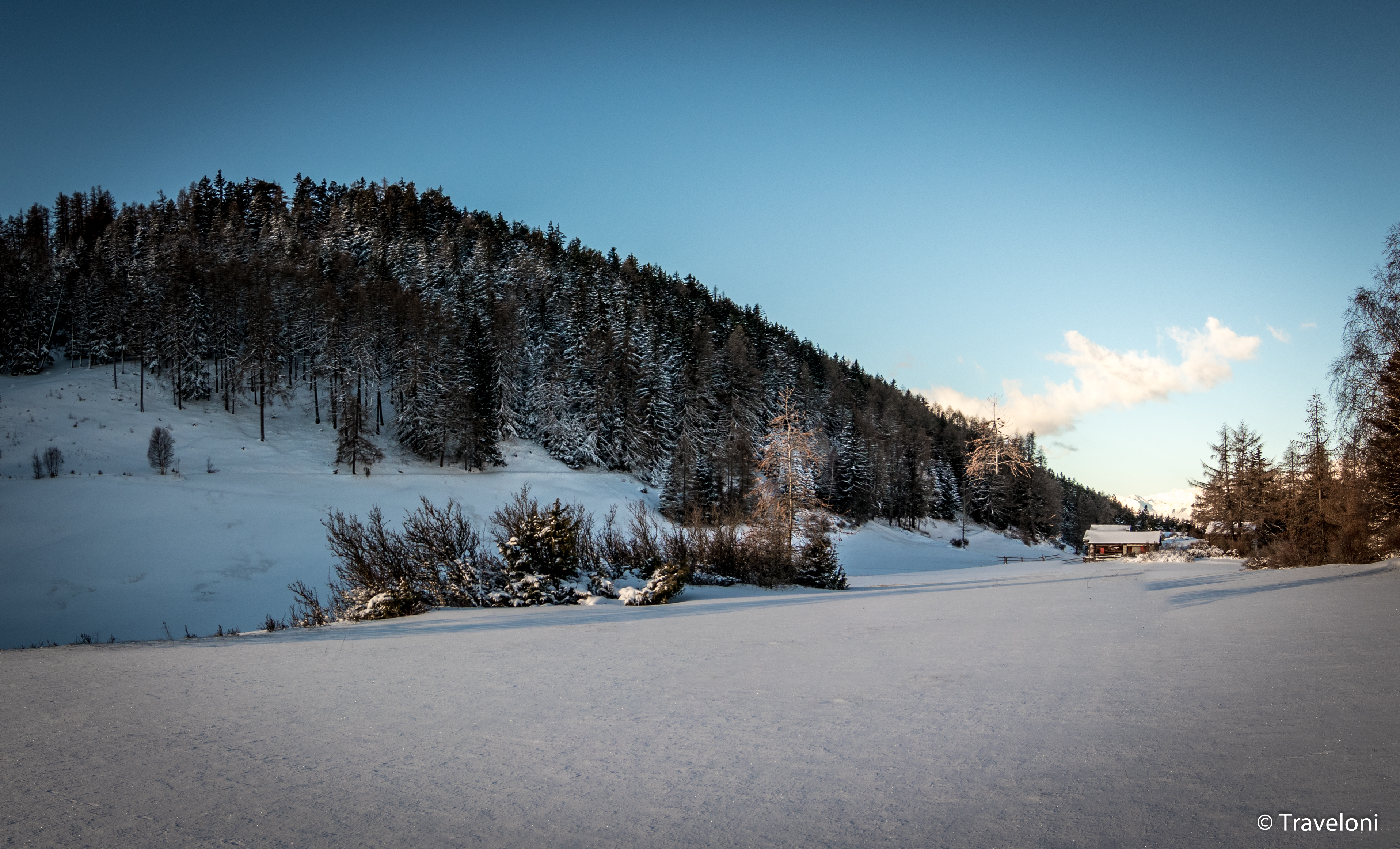 Waldschäden