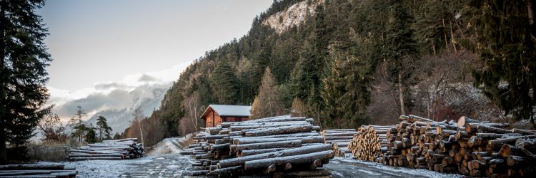 Forstrevier Visp & Umgebung