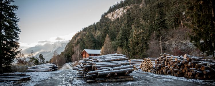 Forstrevier Visp & Umgebung