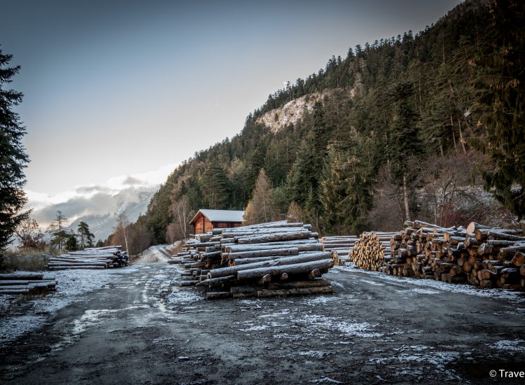 Forstrevier Visp & Umgebung