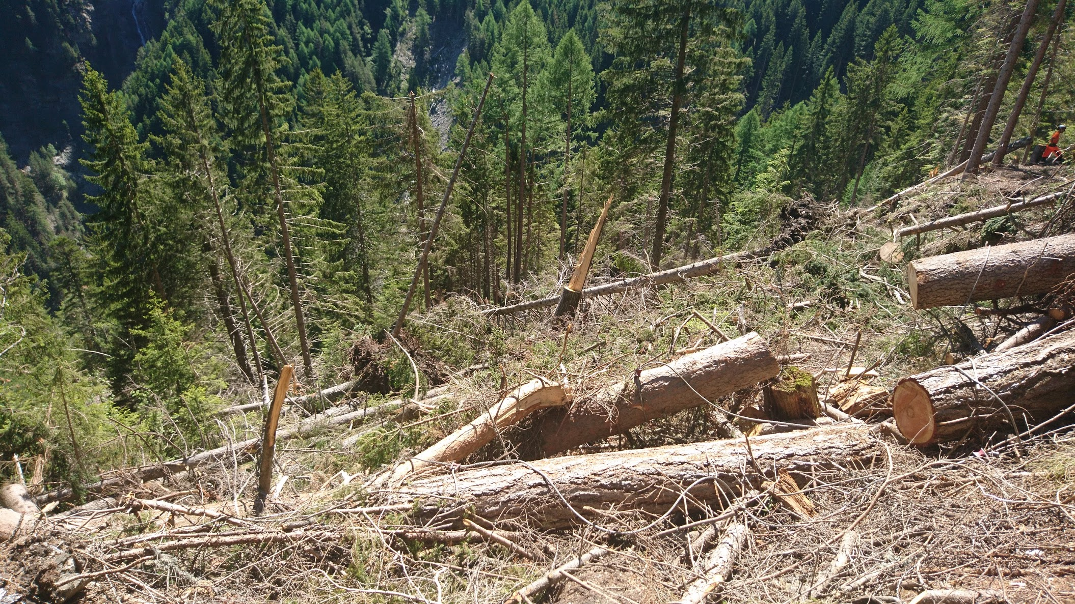 Sturmschäden Visperterminen